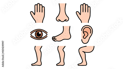 Cartoon Depiction of Human Body Parts Featuring Hand, Nose, Eye, Foot, Leg and Ear