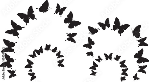 Black butterflies in swirling patterns silhouettes, butterflies, black, silhouettes, swirling, flying, nature, insects, patterns, design, graphic, white background, movement, graceful, delicate, wings
