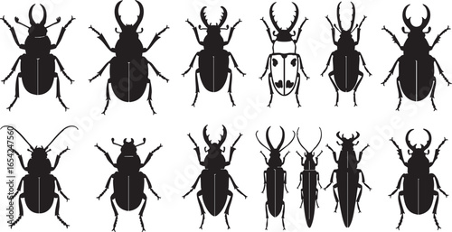 Black beetle silhouettes with prominent antlers and segmented legs, beetle, insect, silhouette, black, white, antlers, legs, segmented, collection, variety, illustration, graphic, design, entomology, 