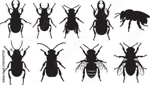 Black insect silhouettes beetle stag beetle, beetle, stag beetle, bee, insect, silhouette, black, white background, entomology, collection, variety, segmented body, antennae, wings, legs, mandibles