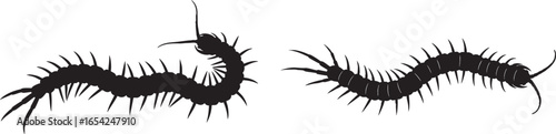 Black segmented arthropod with many legs insect invertebrate, arthropod, insect, invertebrate, segmented, legs, black, silhouette, white background, crawling, creepy, illustration, vector