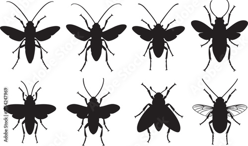Black insect silhouettes with wings and antennae white, insect, silhouette, black, white, wings, antennae, legs, body, segmented, flying, crawling, entomology, illustration, graphic, design, vector, i