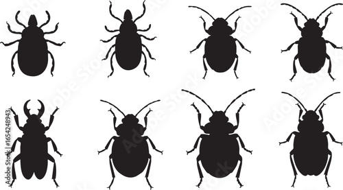 Diverse insect silhouettes black and white insects, insects, beetles, ticks, silhouettes, black, white, vector, illustration, entomology, arthropods, segmented bodies, antennae, legs, wings, pincers, 