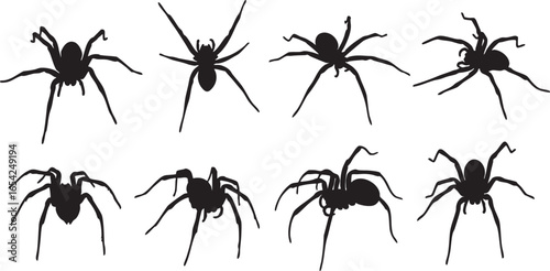 Eight black spider silhouettes on white background, spider, arachnid, silhouette, black, white, creepy, scary, halloween, insect, creature, eight legs, multiple, pattern, graphic, illustration, design