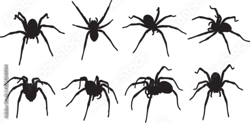 Fototapeta samoprzylepna Eight black spider silhouettes on white background, spider, arachnid, silhouette, black, white, creepy, scary, halloween, insect, creature, eight legs, multiple, pattern, graphic, illustration, design