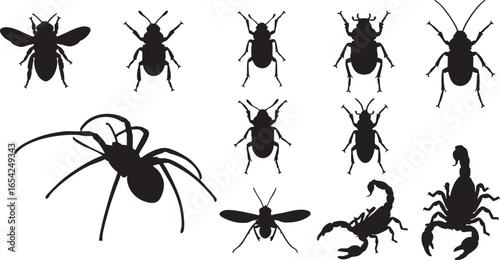 Insect and arachnid silhouettes beetle, insect, arachnid, silhouette, bee, beetle, scorpion, spider, wasp, black, white, vector, illustration, nature, wildlife, entomology, creepy crawly, pest, garden