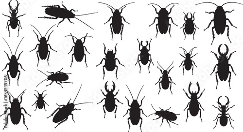 Various insect silhouettes with detailed legs and antennae, insects, silhouettes, beetles, cockroaches, ants, black, white, detailed, collection, arthropods, entomology, illustration, graphic, design,