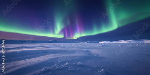 Wallpaper Mural Vibrant Northern Lights at Night Torontodigital.ca