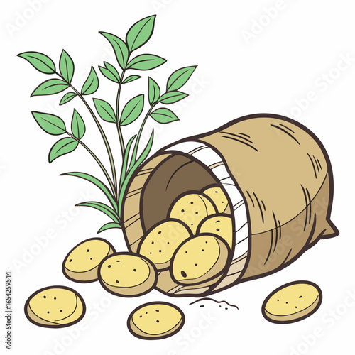 Illustration of a burlap sack overflowing with yellow potatoes and green potato plant leaves vector