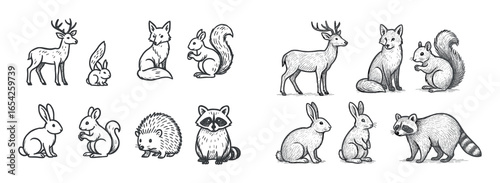 Nature Sketch Icons