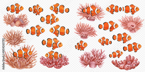 A beautiful collection of watercolor illustrations featuring vibrant orange clownfish and pink sea anemones, isolated on a transparent background.