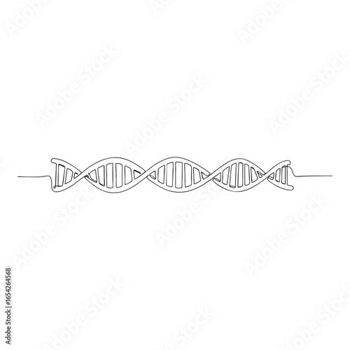 Vector line art DNA strand illustration, continuous one line minimal drawing of genetic structure double helix