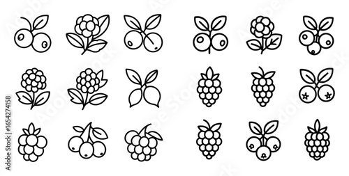 Minimalist Berry Icons