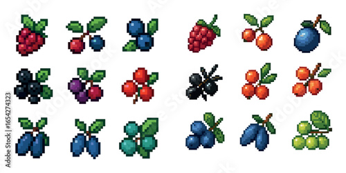 Colorful Berry Icons