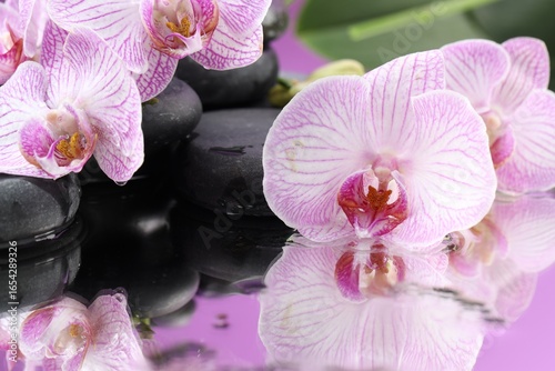 Beautiful orchid flowers with water drops and spa stones on mirror surface, closeup