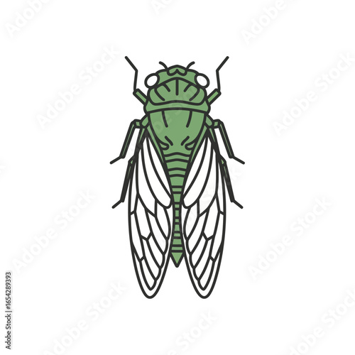 Green Cicada Insect Illustration - A Detailed and Simple Vector Drawing