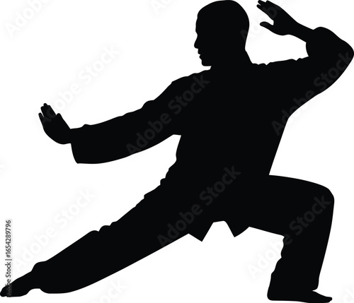 Martial arts practitioner in dynamic pose demonstrating skillful movement silhouette