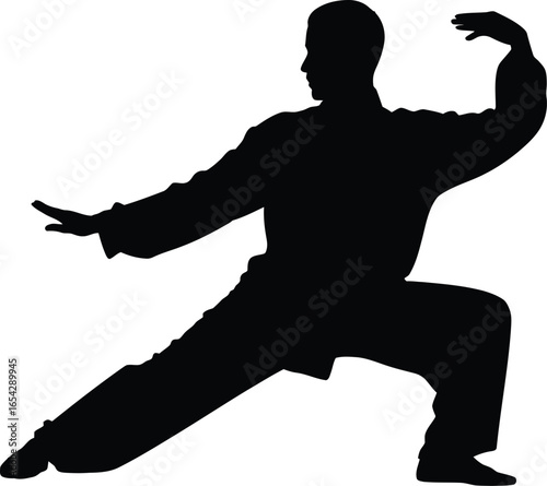 Martial arts practitioner in dynamic pose demonstrating tai chi movements silhouette