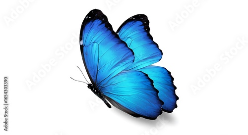 Stunning Blue Butterfly Isolated on White Background, Wing Detail Visible