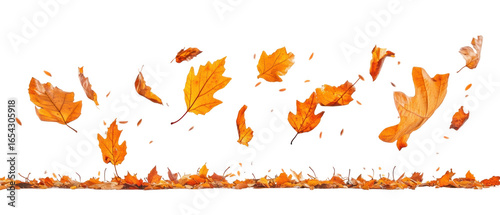 Dynamic Composition of Autumnal Leaves in shades of orange and brown against a black background with scattered foliage emphasizing the season