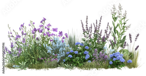 Mixed garden flowers isolated on transparent background