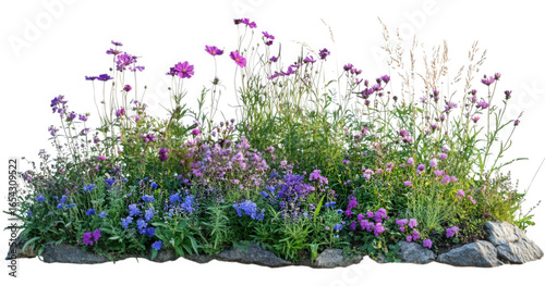 Wildflower garden with rocks isolated on transparent background