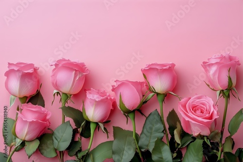 Beautiful Arrangement of Pink Roses on a Soft Pink Background for Various Occ...