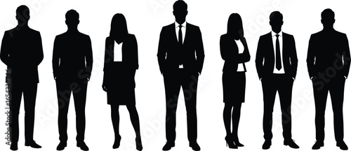 Corporate team silhouette, business professionals group, office staff unity, executive leadership, company employees, teamwork concept, management people, workforce illustration, business success