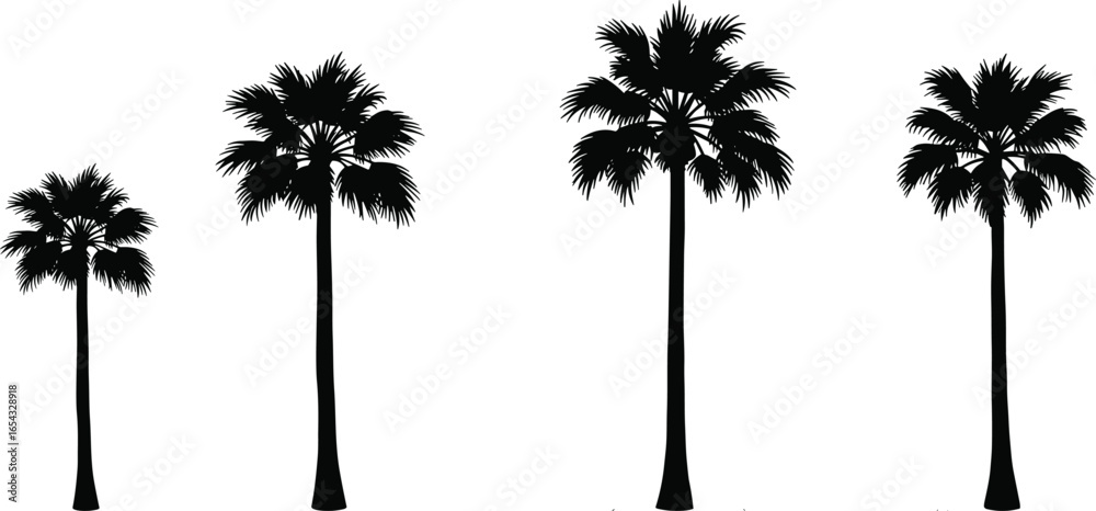 Fototapeta premium Palm tree silhouette, tropical beach trees, summer vacation nature, exotic island plants, coastal landscape, holiday travel background, tropical paradise illustration