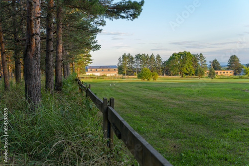 golf course and big pine trees