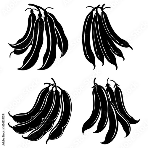 Illustration showing four clusters of black and white bean pods hanging from their stems in detail