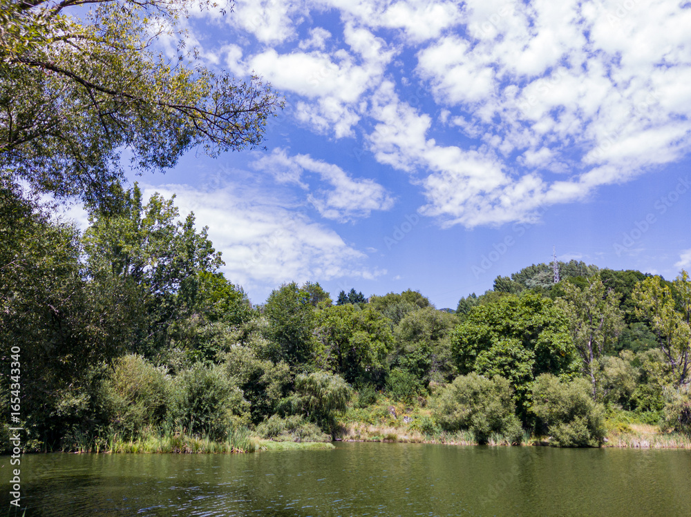 Fototapeta premium VIew to lake, trees and hills