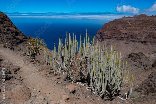 Gran Canaria, Spain, Europe: aerial view of the trail through the mountains to Guigui beach, pristine black sand beach, along a scenic trail between volcanic rocks and expanse of cactus