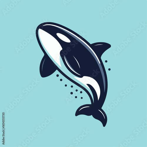 beautiful orca whale vector illustration