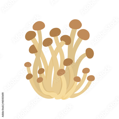 Shimeji mushroom vector illustration. Cute brown beech mushrooms isolated on white background.