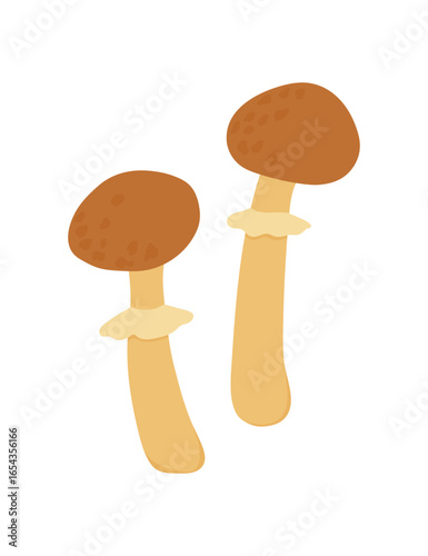 Cute hand drawn edible mushrooms isolated on white background. Vector illustration.