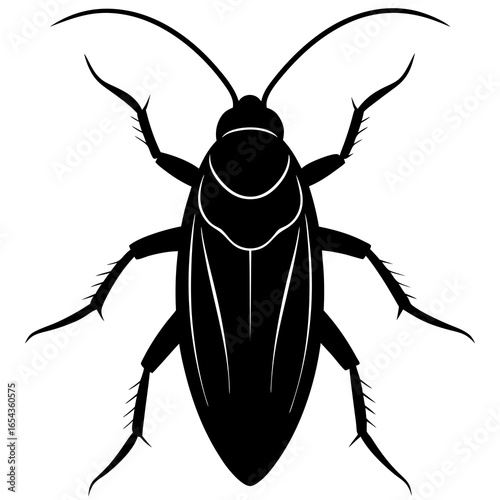  asian cockroach silhouette black animal