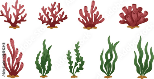 set of coral seaweed shape aesthetic element, vector,silhouette, abstract cartoon underwater plant collection
