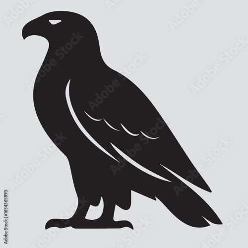 vector illustration of a bird