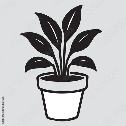 plant in pot