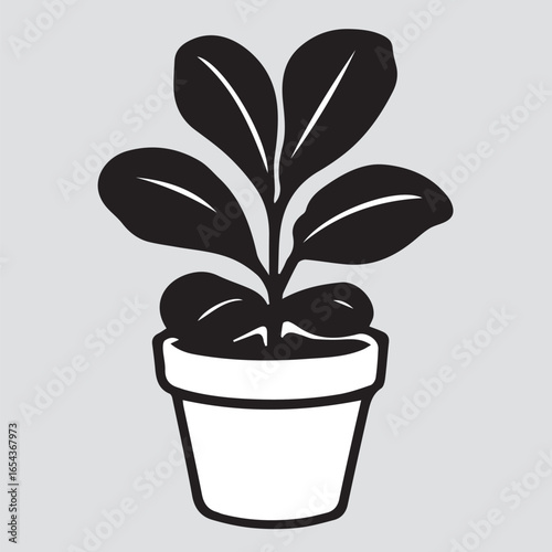 vector illustration of a plant