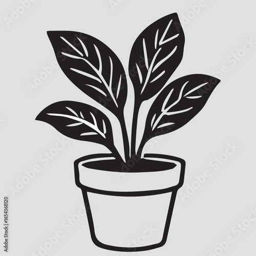 plant in pot