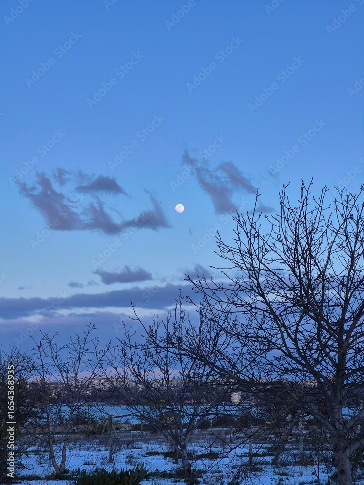 Fototapeta premium Serene evening landscape with full moon.