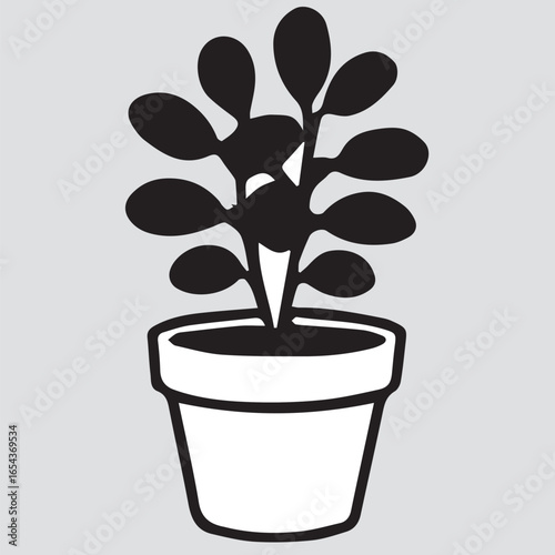 plant in pot