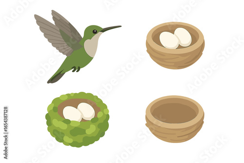Isometric Hummingbird Nesting Vector Icons Set. Green Hummingbird Flying, Tiny Cup Nest, Moss Camouflage Nest with Eggs. Bird Eggs, Nest Construction, Wildlife Breeding Illustration