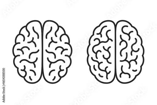 Minimalist simple line drawings of human brains showcasing left and right hemispheres, vector cartoon illustration set with transparent background, scientific neural anatomy concept