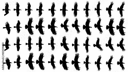 Silhouette illustration of a flock of birds in various stages of flight in a repetitive pattern design