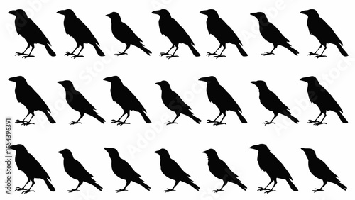 Silhouette pattern of twenty one crows arranged in three rows against a white background image design