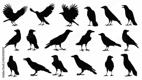 Silhouette illustration showing a collection of crows in various poses and perspectives on a white background