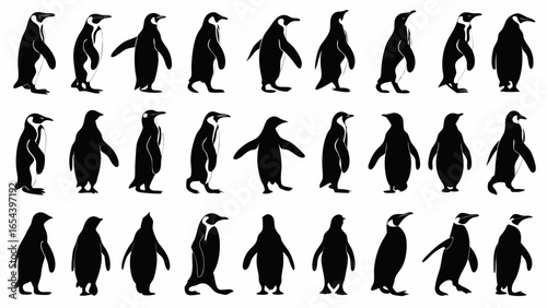 Silhouette illustration of a group of penguins in various poses on a white background image